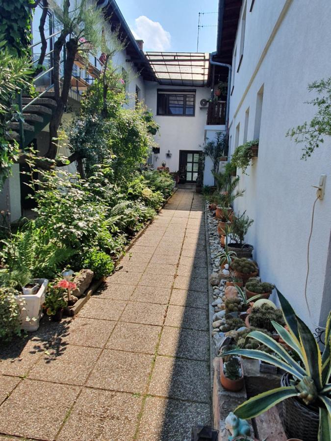 Appartement Roiss Podersdorf am See Exteriör bild